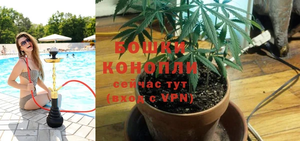 мдпв Дмитровск