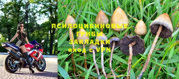 мдпв Дмитровск