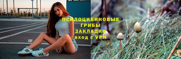 ПСИЛОЦИБИНОВЫЕ ГРИБЫ Волоколамск